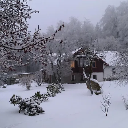 Gościnne 54 Apartament