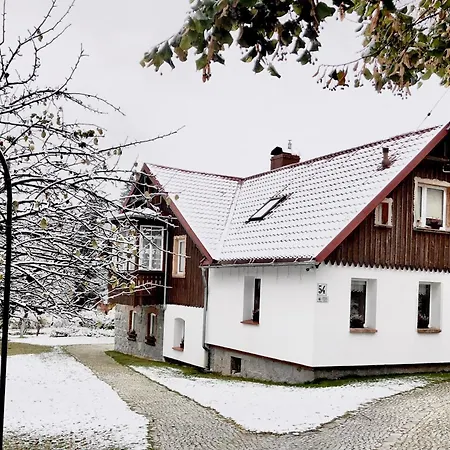 Gościnne 54 Apartament *