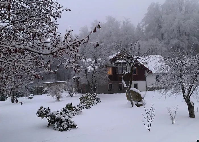 Goscinne 54 Apartment